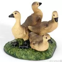 Kliknite za detalje - Schleich Divlje životinje - Guščići 13680