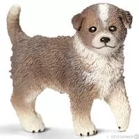 Kliknite za detalje - Schleich Domaće životinje - Australijski ovčar - štene 16393
