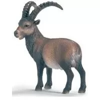 Kliknite za detalje - Schleich Divlje Životinje - Kozorog 14366