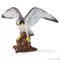 Kliknite za detalje - Schleich Divlje Životinje - Sivi soko 14633