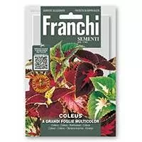 Kliknite za detalje - Ukrasna kopriva - Coleus - seme 10 kesica Franchi Sementi Virimax