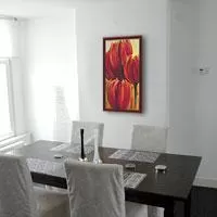 Kliknite za detalje - Tulips - 50x100 E3EP