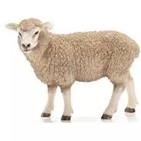 Kliknite za detalje - Schleich Domaće životinje - Ovca 13743