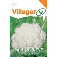 Kliknite za detalje - Povrće - seme - Karfiol snežna grudva 10 kesica Villager 023339