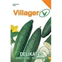 Kliknite za detalje - Seme 10 kesica za Krastavac delikates Villager 003697