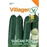 Kliknite za detalje - Seme za Krastavac sunčani potok 10 kesica Villager 011314
