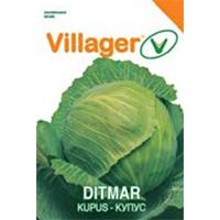 Kliknite za detalje - Seme za povrće - 5 kesica - Kupus ditmar Villager 004314