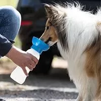 Kliknite za detalje - Trixie Plastična putna flašica za vodu za pse 0.55l