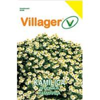 Seme 5 kesica - Kamilica Villager 003586