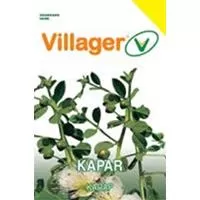 Kliknite za detalje - Začinsko bilje Kapar - seme 5 kesica Villager 003517