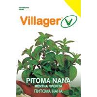 Pitoma nana - seme 5 kesica Villager 003458