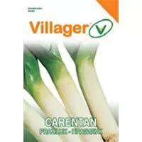Kliknite za detalje - Praziluk karentan - seme 10 kesica Villager 004307