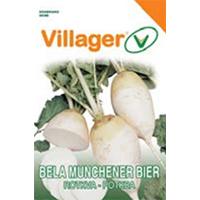 Seme za povrće 5 kesica - Bela rotkva munchener bier Villager 02134