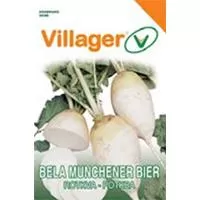 Kliknite za detalje - Seme za povrće 10 kesica - Bela rotkva munchener bier Villager 02134
