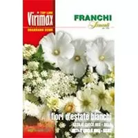 Kliknite za detalje - Letnje Belo Cveće mešavina 10 kesica semena Franchi Sementi Virimax