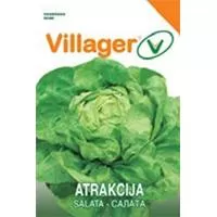 Kliknite za detalje - Seme 10 kesica - Zelena salata Atrakcija Villager 004661