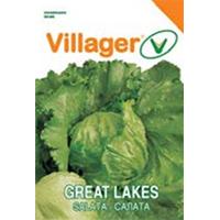 Seme 5 kesica - Zelena salata Iceberg Great lakes Villager 003440