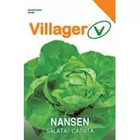 Kliknite za detalje - Zelena salata nansen - seme 10 kesica Villager 004304
