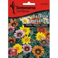 Kliknite za detalje - Baštensko cveće Gazanija - mešavina - Gazania splendens hyb. 5 kesica 3470
