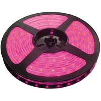 LED traka roze 30 LED / 1m LTR5050/30P-12  5 metara