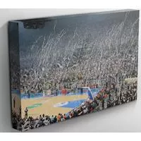 Kliknite za detalje - KK Partizan Fotografija Arena Kanvas 40x30 cm 