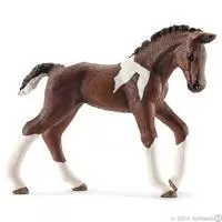 Kliknite za detalje - Schleich Domaće životinje - Trakenski konj, ždrebe 13758