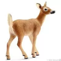 Kliknite za detalje - Schleich Divlje Životinje - Belorepi jelen, košuta 14710
