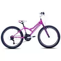 Kliknite za detalje - Bicikl Capriolo Diavolo 400 24/18HT pink ljubičasta 914304-13