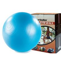 Lopta za pilates 65 cm 291358 Blue