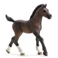 Kliknite za detalje - Schleich Domaće životinje - Arapsko ždrebe 13762