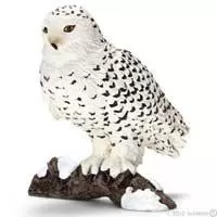 Kliknite za detalje - Schleich Divlje Životinje - Snežna sova 14671