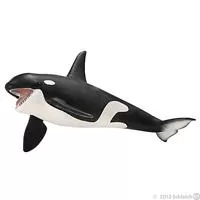 Kliknite za detalje - Schleich Divlje Životinje - Orka - Kit ubica 14697