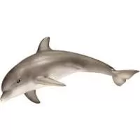 Kliknite za detalje - Schleich Divlje Životinje - Delfin 14699