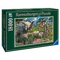 Kliknite za detalje - Ravensburger slagalica Na izvoru 18000 delova 01-178230