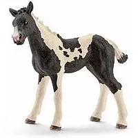 Kliknite za detalje - Schleich Domaće životinje - Pinto konj - ždrebe