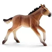 Kliknite za detalje - Schleich Domaće životinje - Mustang konj - ždrebe