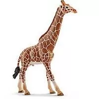 Kliknite za detalje - Schleich Divlje Životinje - Žirafa - mužjak