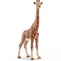 Kliknite za detalje - Schleich Divlje Životinje - Žirafa - ženka