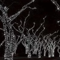 Kliknite za detalje - Novogodišnje Lampice LED Niz Za Spoljnu ili Unutrašnju Upotrebu 10 m