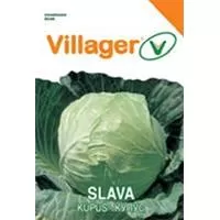 Kliknite za detalje - Seme za povrće - 10 kesica - Kupus slava Villager 008395