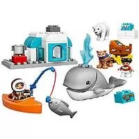 Kliknite za detalje - LEGO® DUPLO® Kocke - Arktik  LE10803