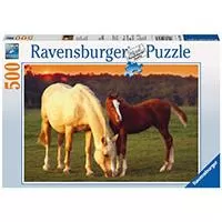 Kliknite za detalje - Ravensburger Puzzle 500 delova - Kobila i ždrebe 14347