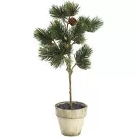 Kliknite za detalje - Veštačka biljka Bor 40cm