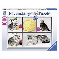 Kliknite za detalje - Ravensburger puzzle Animal Kingdom Collection - British ShortHair Cat 1000 delova RA19545