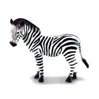Kliknite za detalje - Collecta Divlje Životinje Zebra CT88032