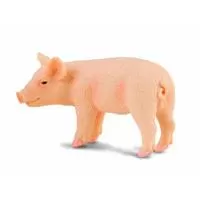 Kliknite za detalje - Collecta Prase koje stoji CT88063