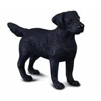 Kliknite za detalje - Collecta Domaće Životinje Labrador Retriver CT88076