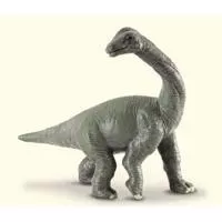 Kliknite za detalje - Collecta Dinosaurus beba Brahiosaurusa CT88200