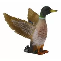 Kliknite za detalje - Collecta Divlje Životinje Divlja Patka CT88378