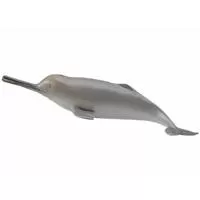 Kliknite za detalje - Collecta Divlje Životinje Ganges River Delfin CT88611